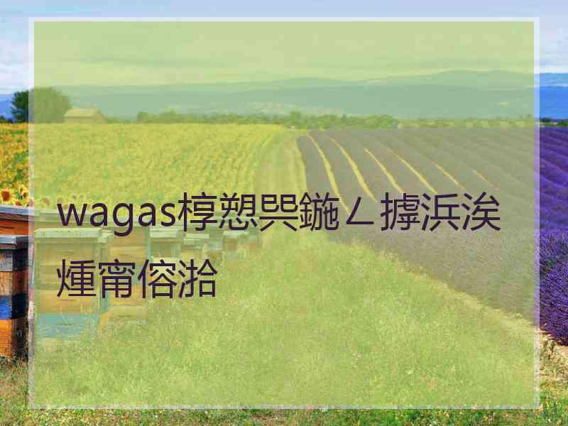 wagas椁愬巺鍦ㄥ摢浜涘煄甯傛湁