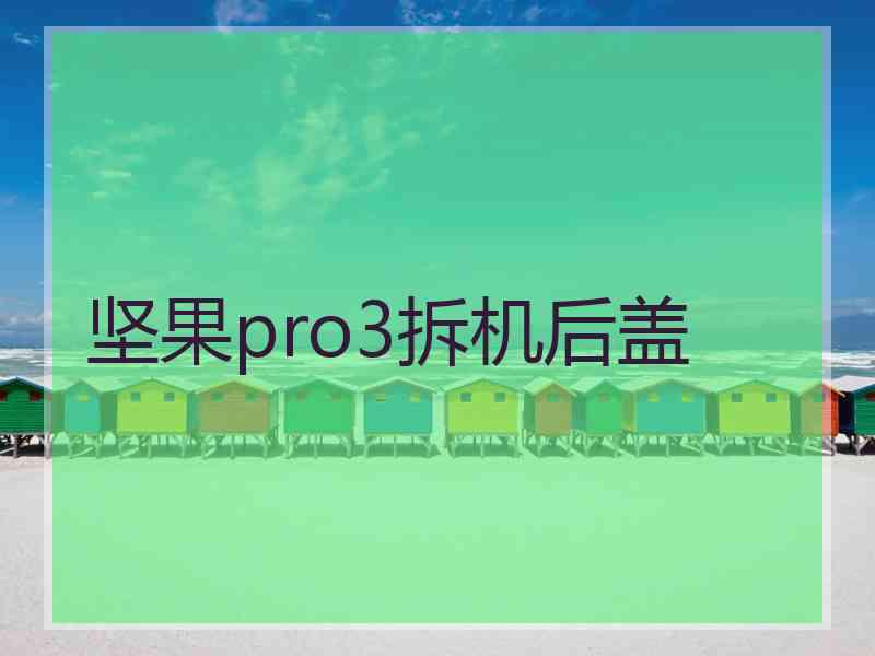 坚果pro3拆机后盖