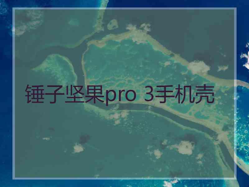 锤子坚果pro 3手机壳