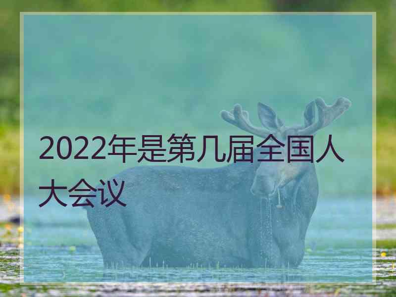 2022年是第几届全国人大会议