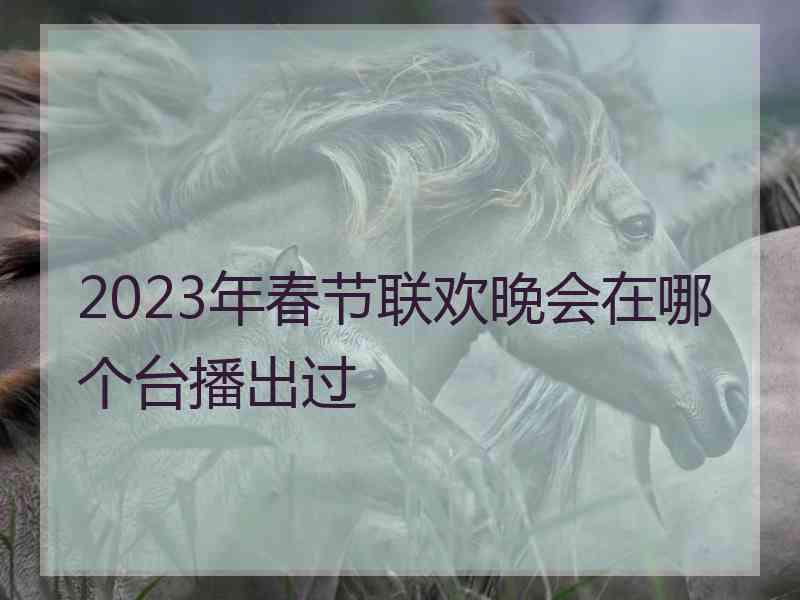 2023年春节联欢晚会在哪个台播出过