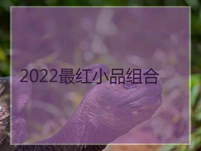 2022最红小品组合