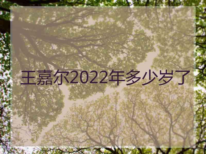 王嘉尔2022年多少岁了