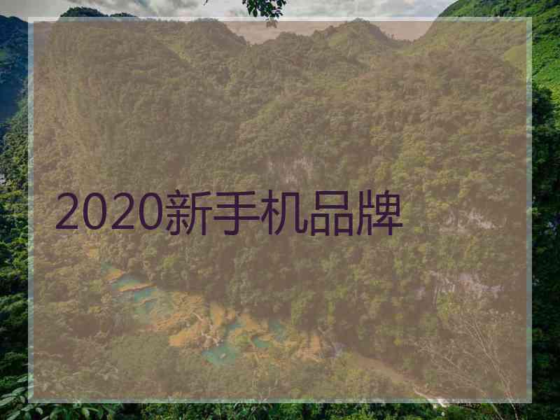 2020新手机品牌