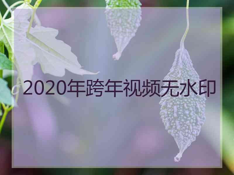 2020年跨年视频无水印