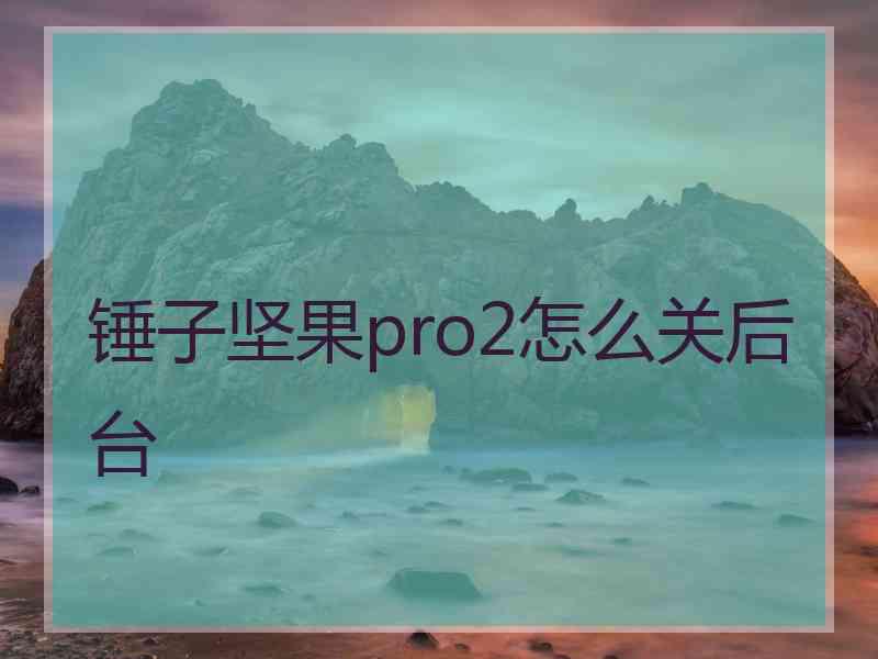 锤子坚果pro2怎么关后台