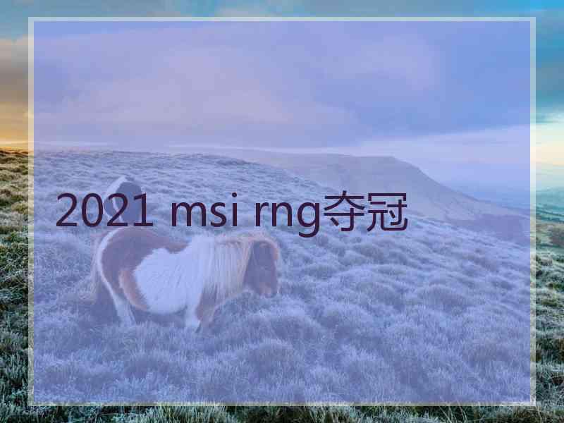 2021 msi rng夺冠