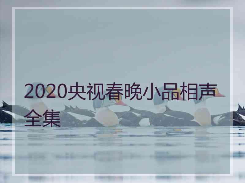 2020央视春晚小品相声全集