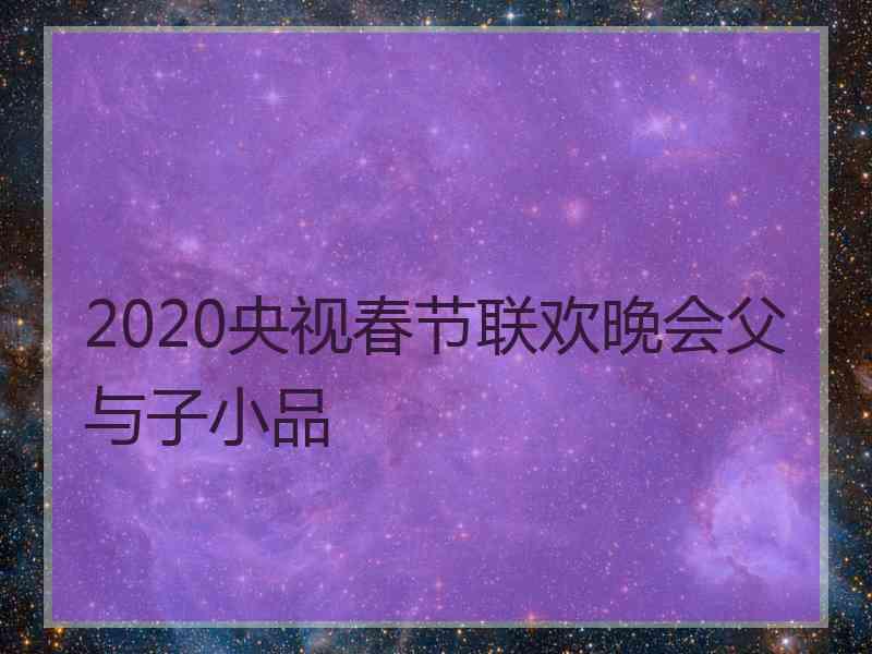 2020央视春节联欢晚会父与子小品