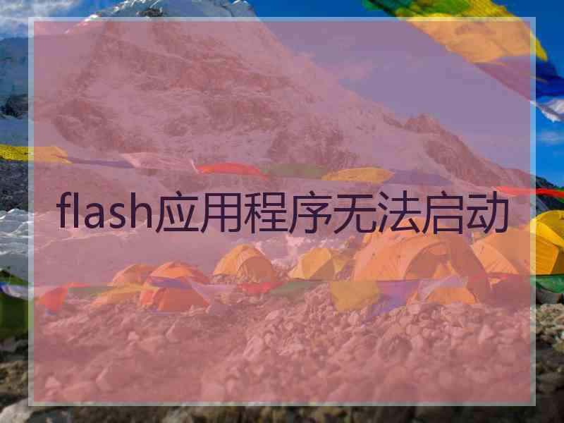 flash应用程序无法启动