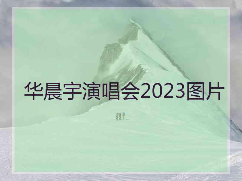 华晨宇演唱会2023图片