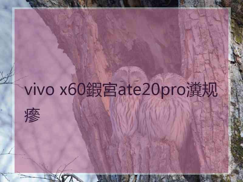 vivo x60鍜宮ate20pro瀵规瘮