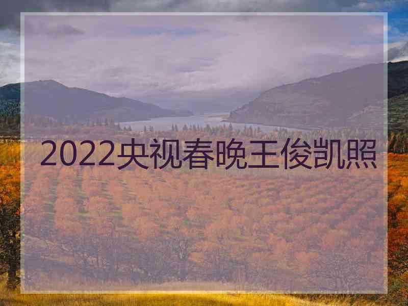 2022央视春晚王俊凯照