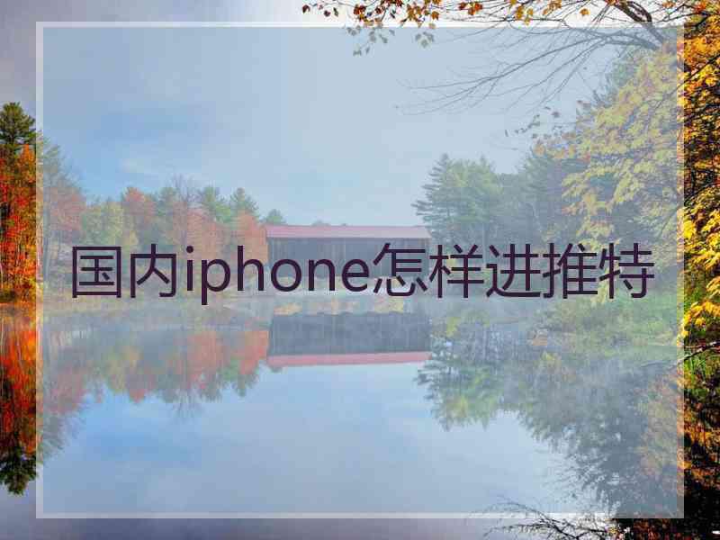 国内iphone怎样进推特