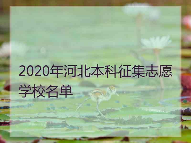 2020年河北本科征集志愿学校名单