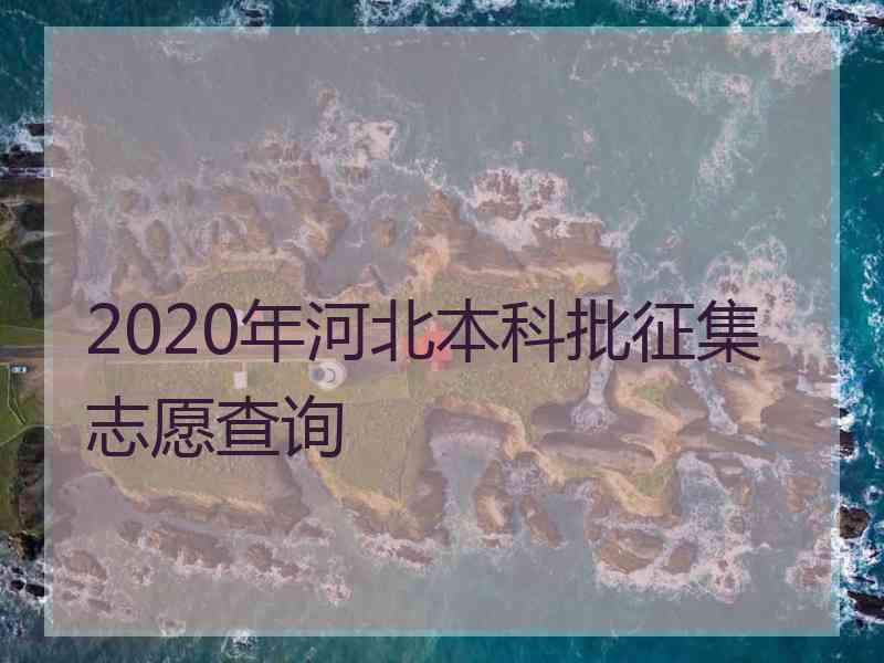 2020年河北本科批征集志愿查询