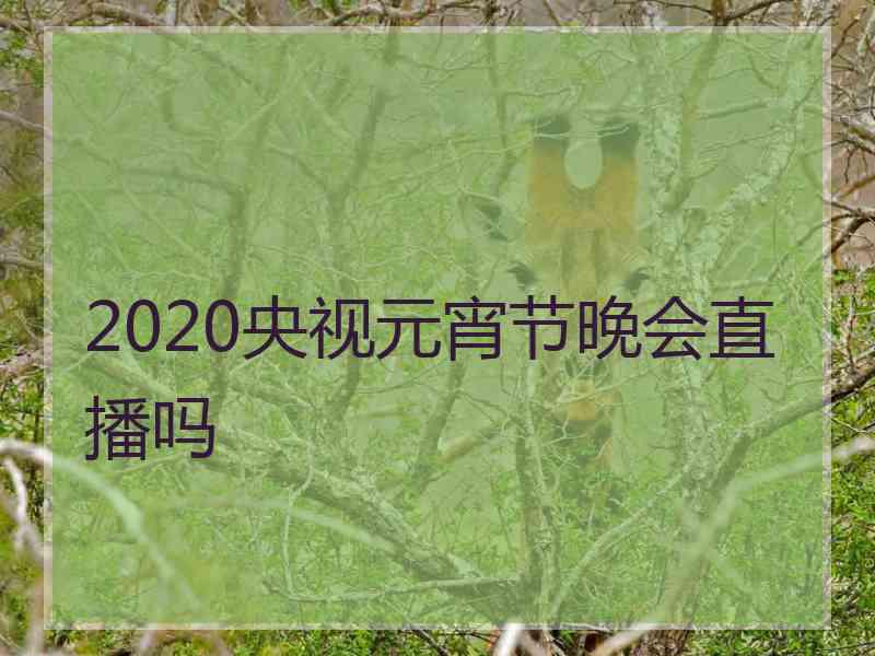 2020央视元宵节晚会直播吗