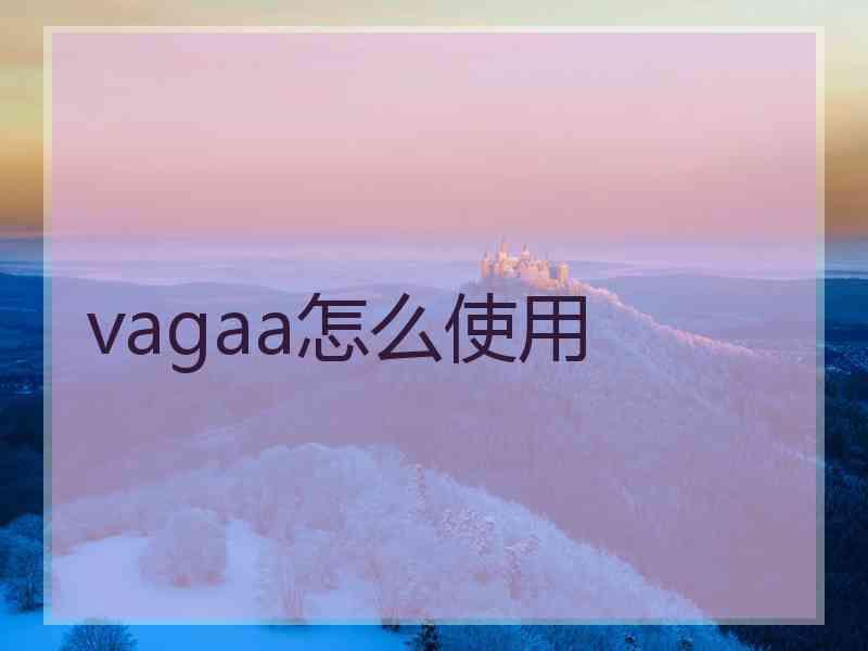 vagaa怎么使用