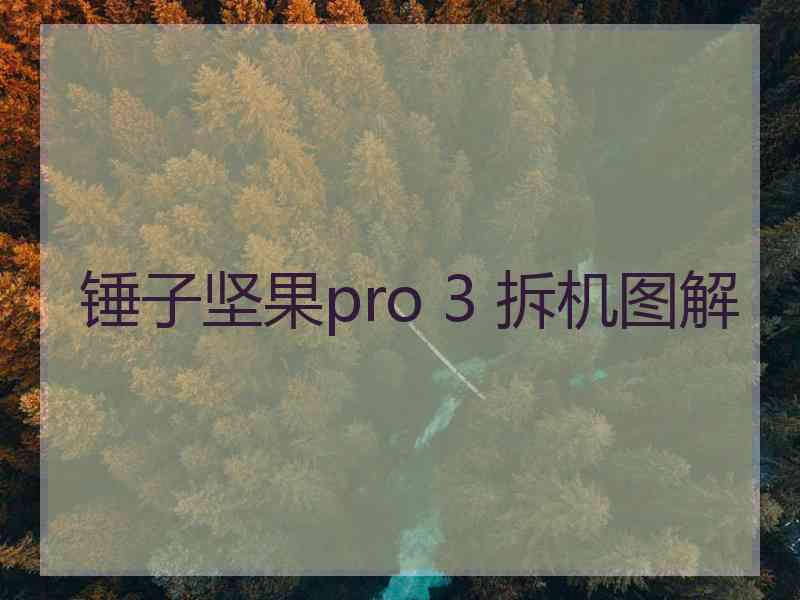 锤子坚果pro 3 拆机图解