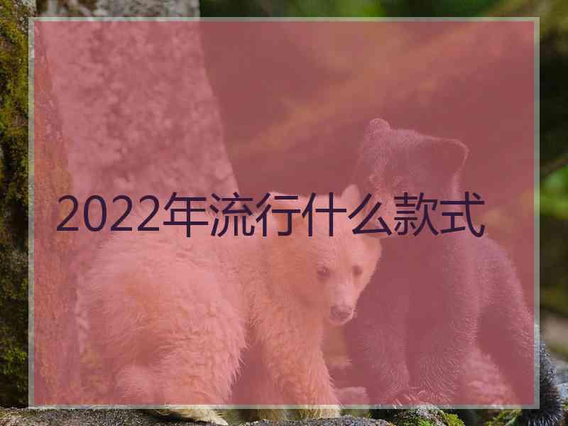 2022年流行什么款式