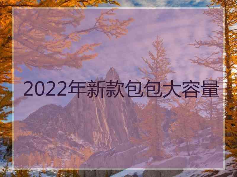 2022年新款包包大容量