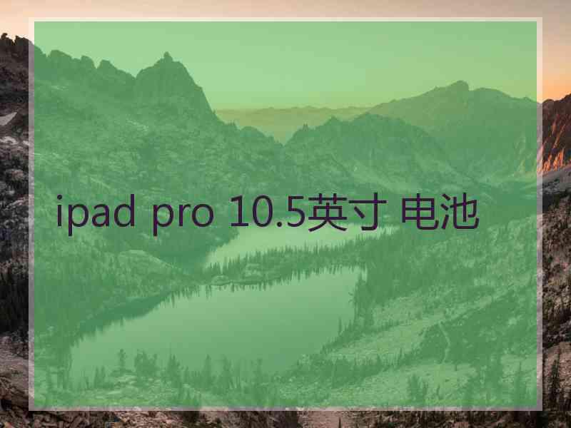 ipad pro 10.5英寸 电池