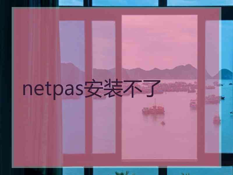 netpas安装不了