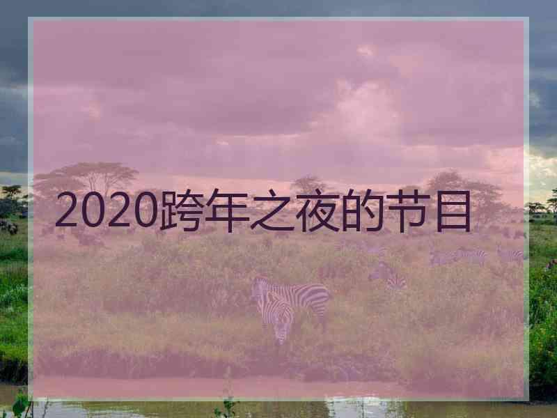 2020跨年之夜的节目