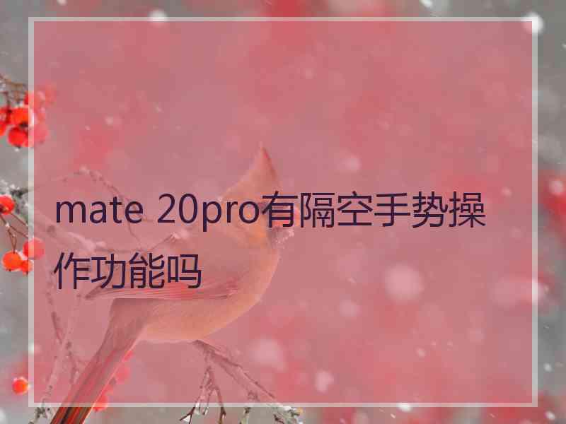 mate 20pro有隔空手势操作功能吗