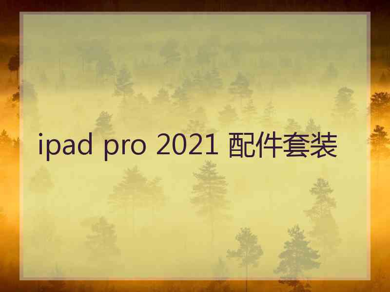 ipad pro 2021 配件套装