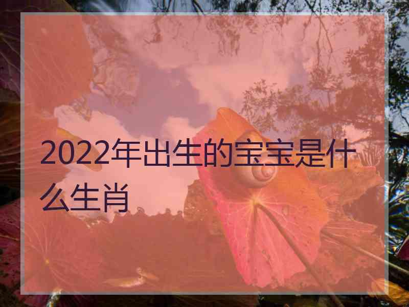 2022年出生的宝宝是什么生肖