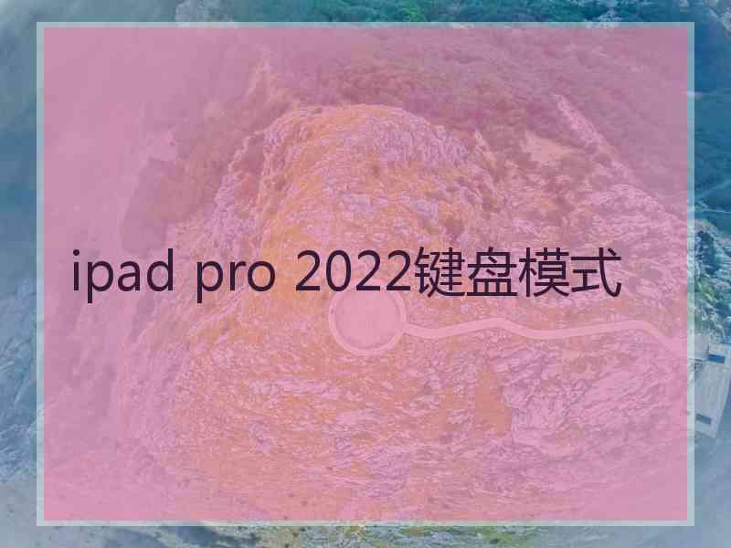 ipad pro 2022键盘模式