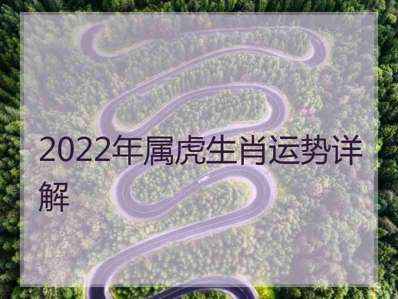 2022年属虎生肖运势详解