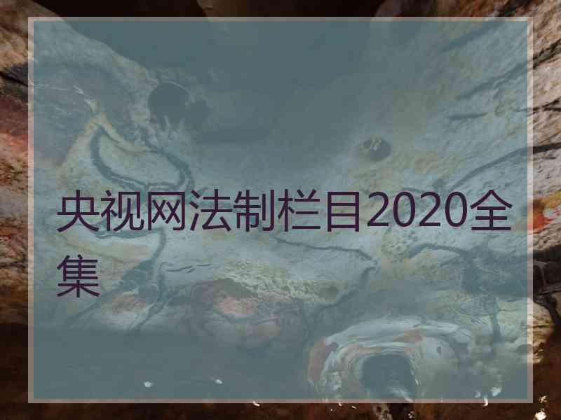 央视网法制栏目2020全集