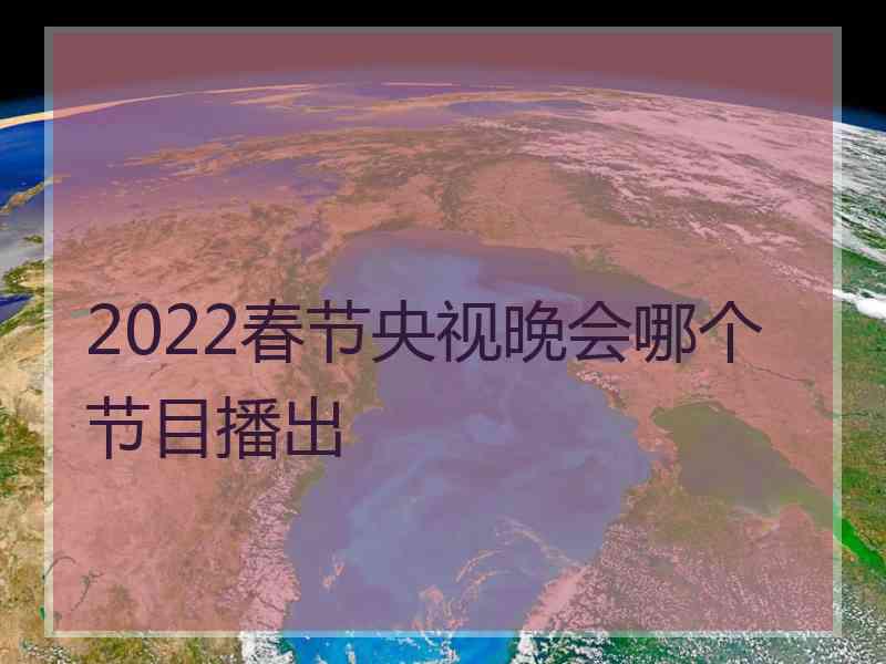 2022春节央视晚会哪个节目播出