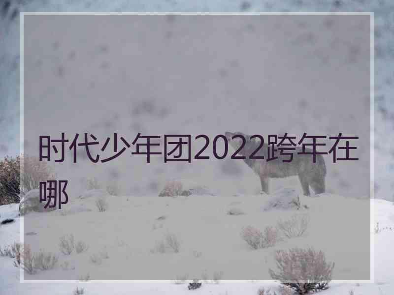 时代少年团2022跨年在哪