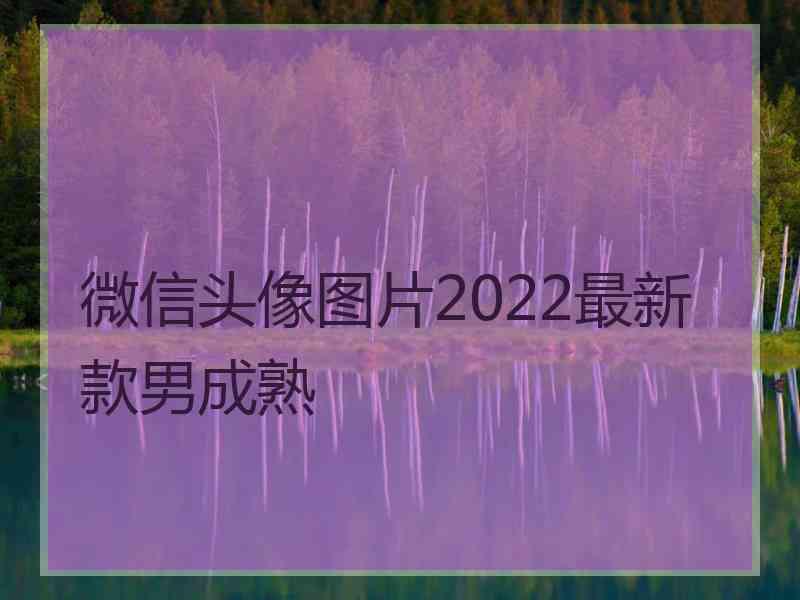 微信头像图片2022最新款男成熟