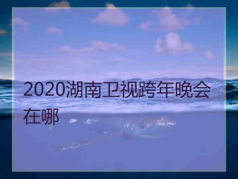 2020湖南卫视跨年晚会在哪