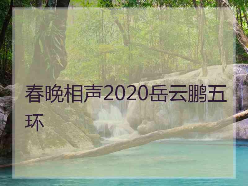 春晚相声2020岳云鹏五环