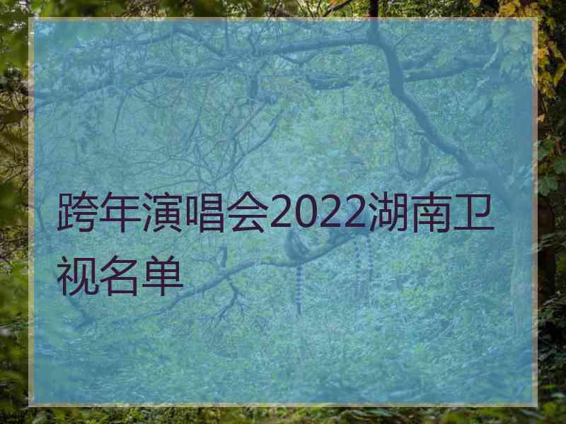 跨年演唱会2022湖南卫视名单