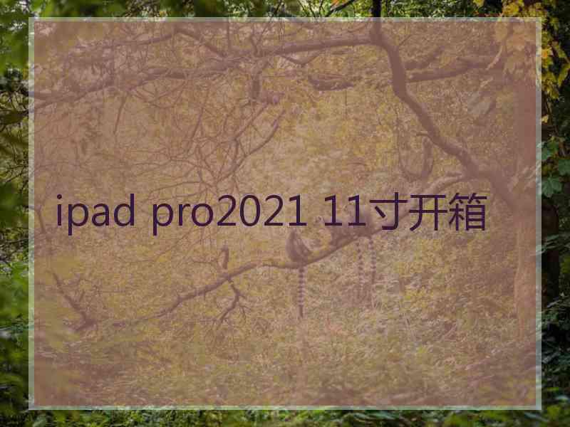 ipad pro2021 11寸开箱