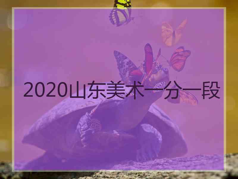 2020山东美术一分一段