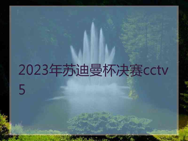 2023年苏迪曼杯决赛cctv 5