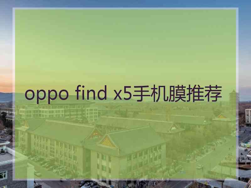 oppo find x5手机膜推荐