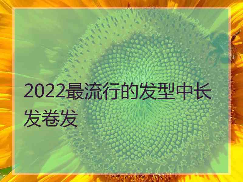 2022最流行的发型中长发卷发