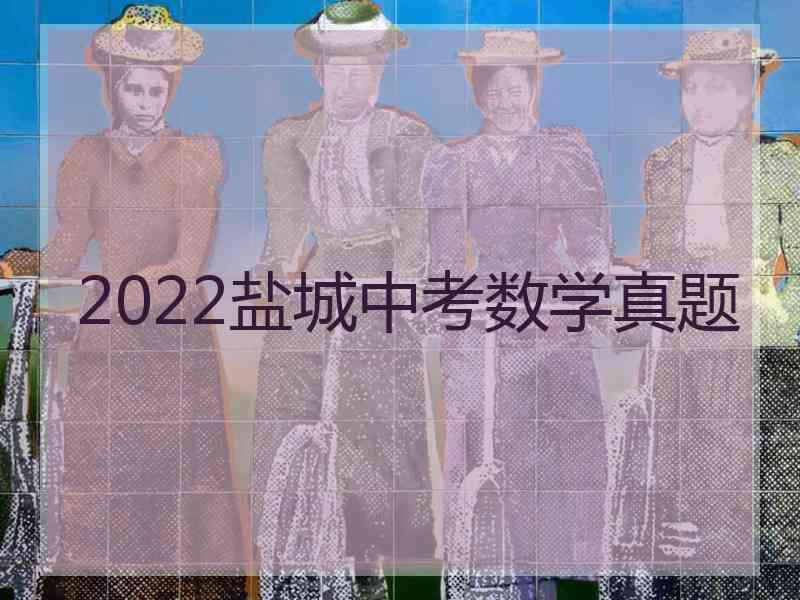 2022盐城中考数学真题