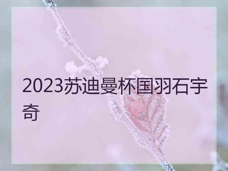 2023苏迪曼杯国羽石宇奇