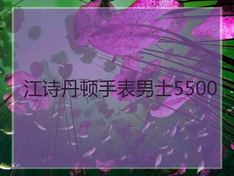 江诗丹顿手表男士5500