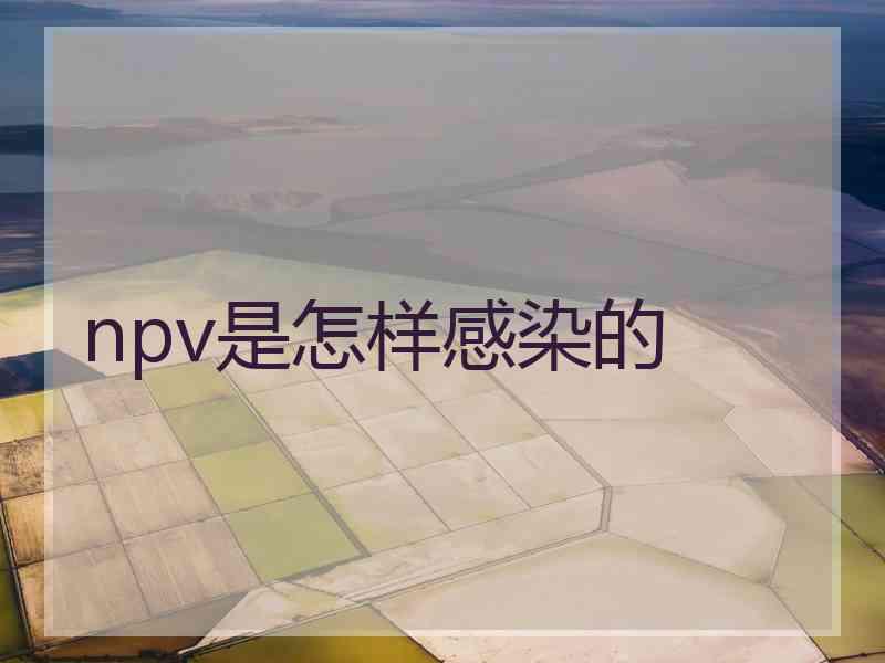 npv是怎样感染的