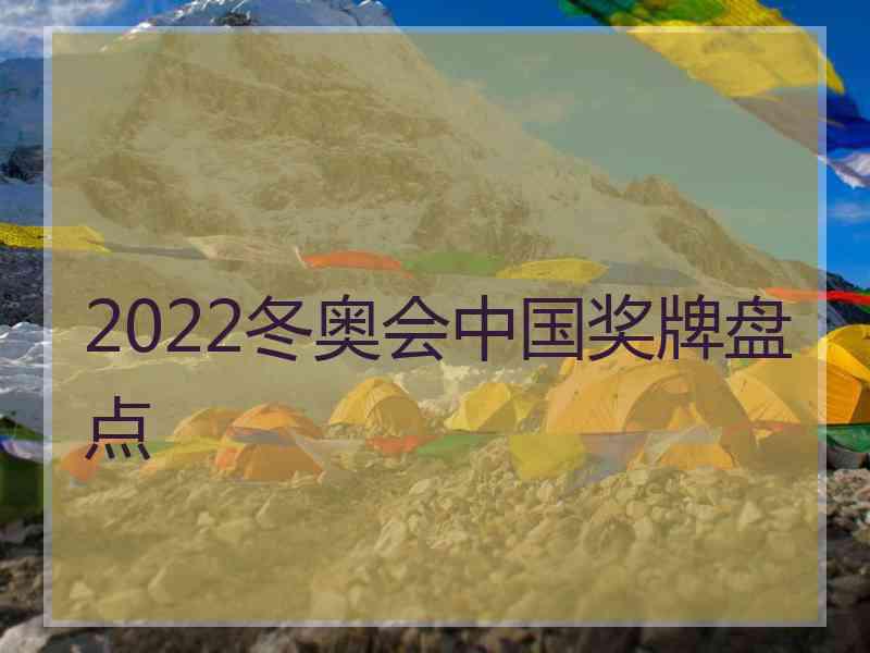 2022冬奥会中国奖牌盘点